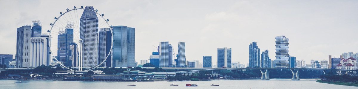 鄭州企業(yè)如何高效辦理塞舌爾公司年審？全方位指南出爐！